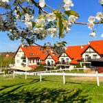 Mazury